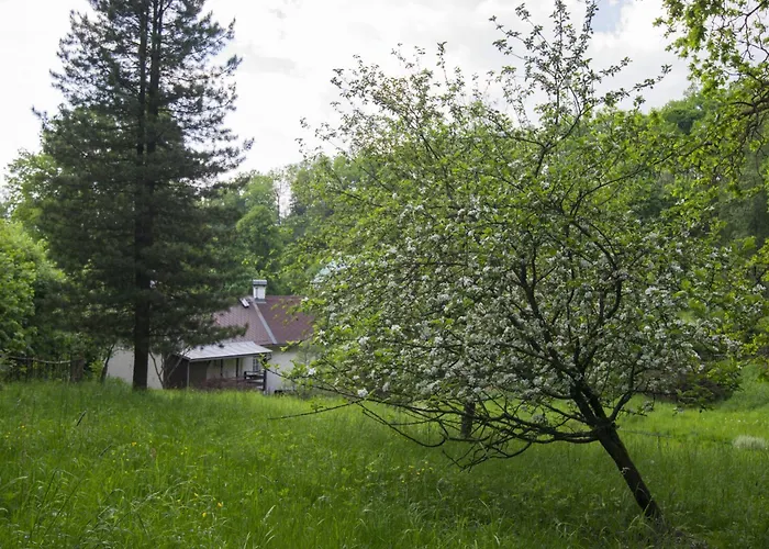 Ubytovani U Lesa Pod Rokli