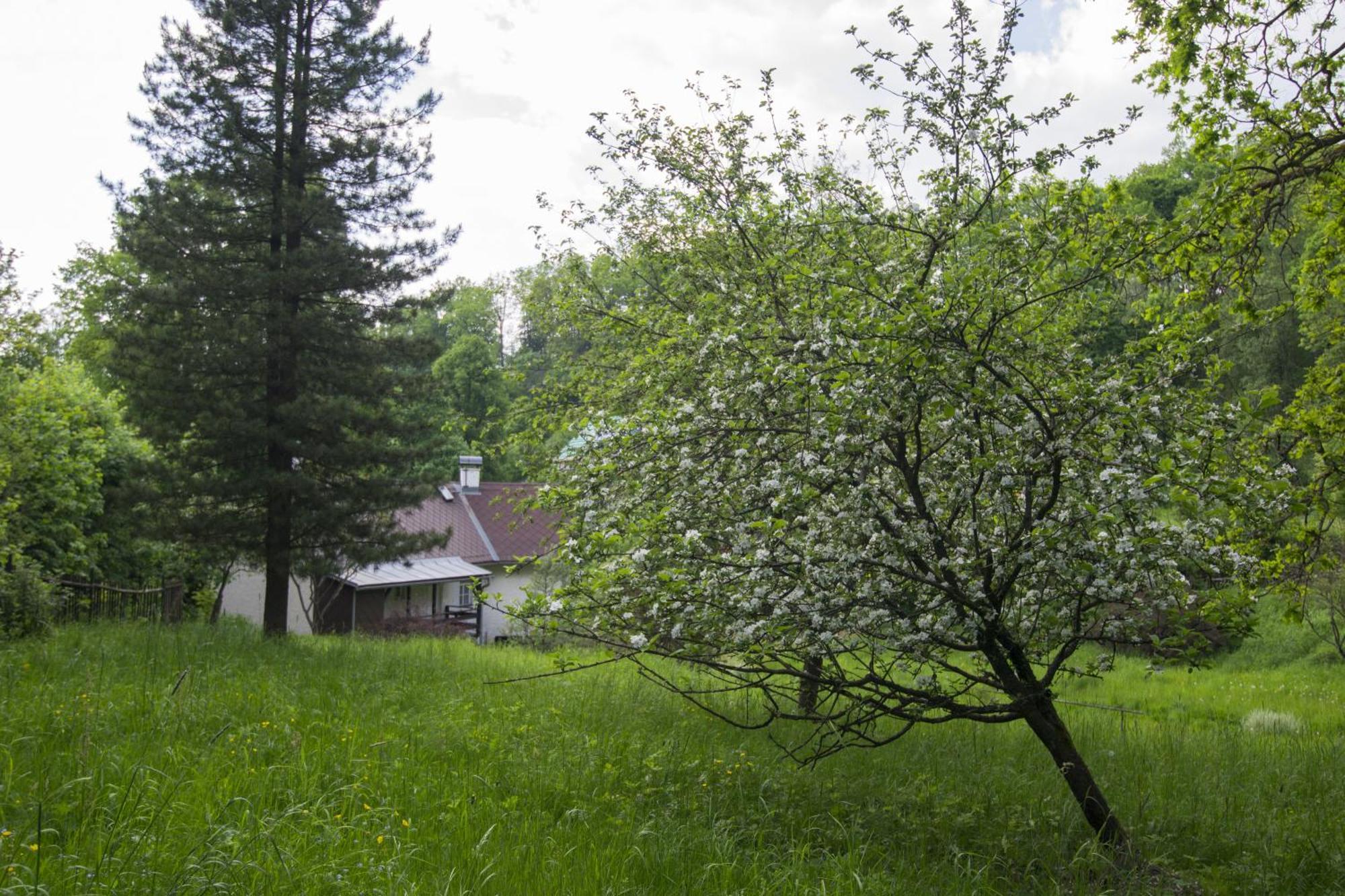 U Lesa Pod Rokli Casa vacanze *